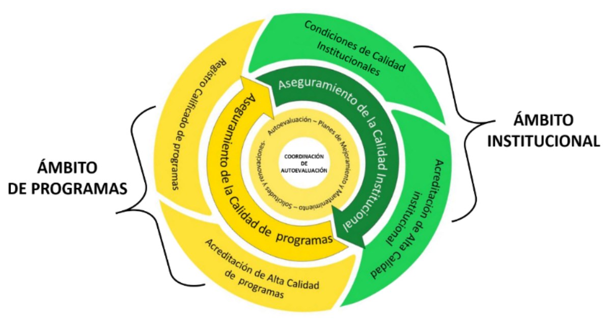 Ciclo de acompañamiento en el ambito institucional y de programas