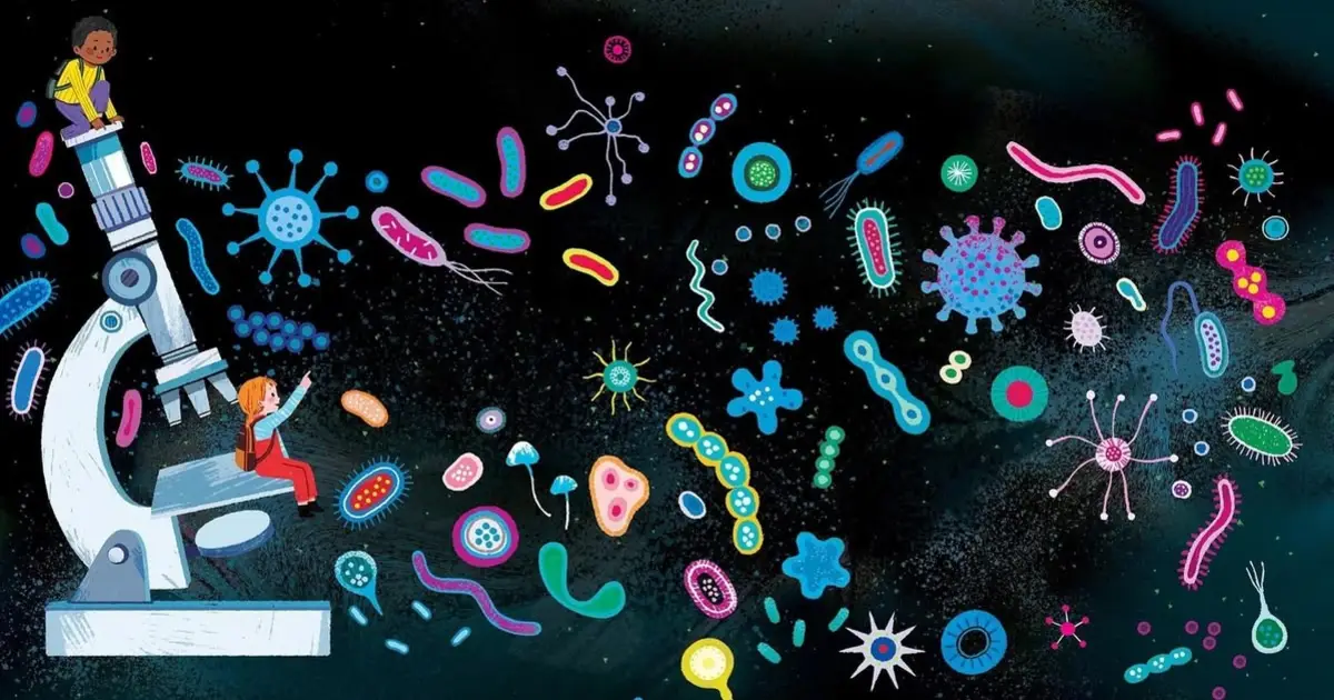 Curso Microcosmos