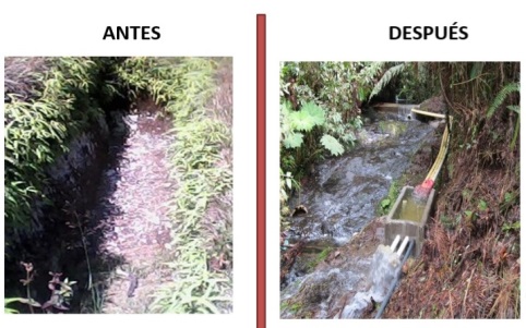 Proyectos que cambian la perspectiva de la producción piscícola en Antioquia