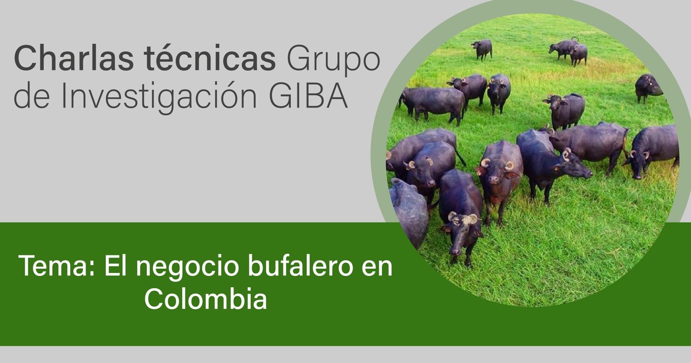 El negocio bufalero en Colombia