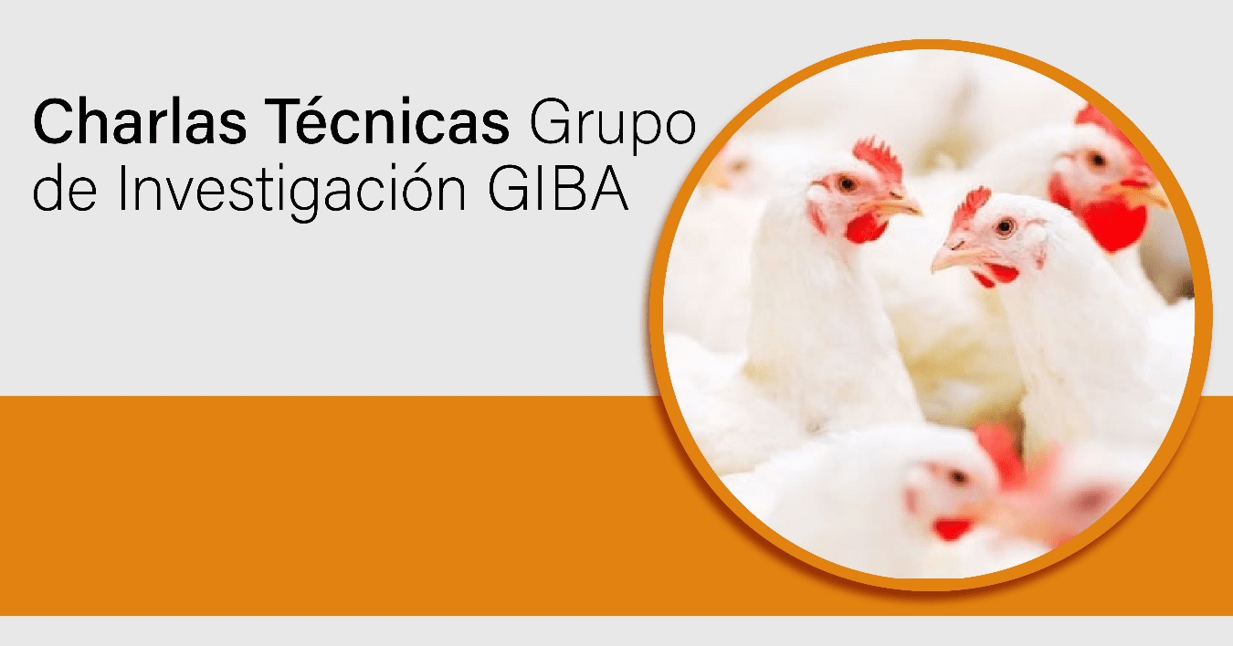 Salud intestinal y reducción del uso de antibióticos en la producción avícola