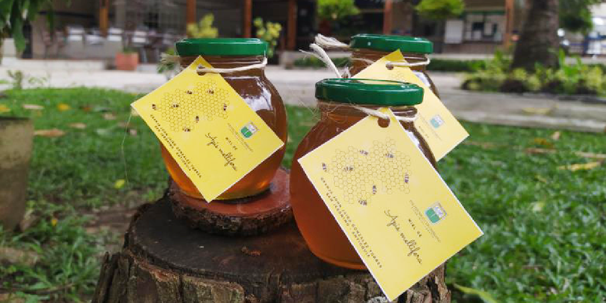 ¡Apoyemos lo nuestro! Miel de abejas de alta calidad y sabor