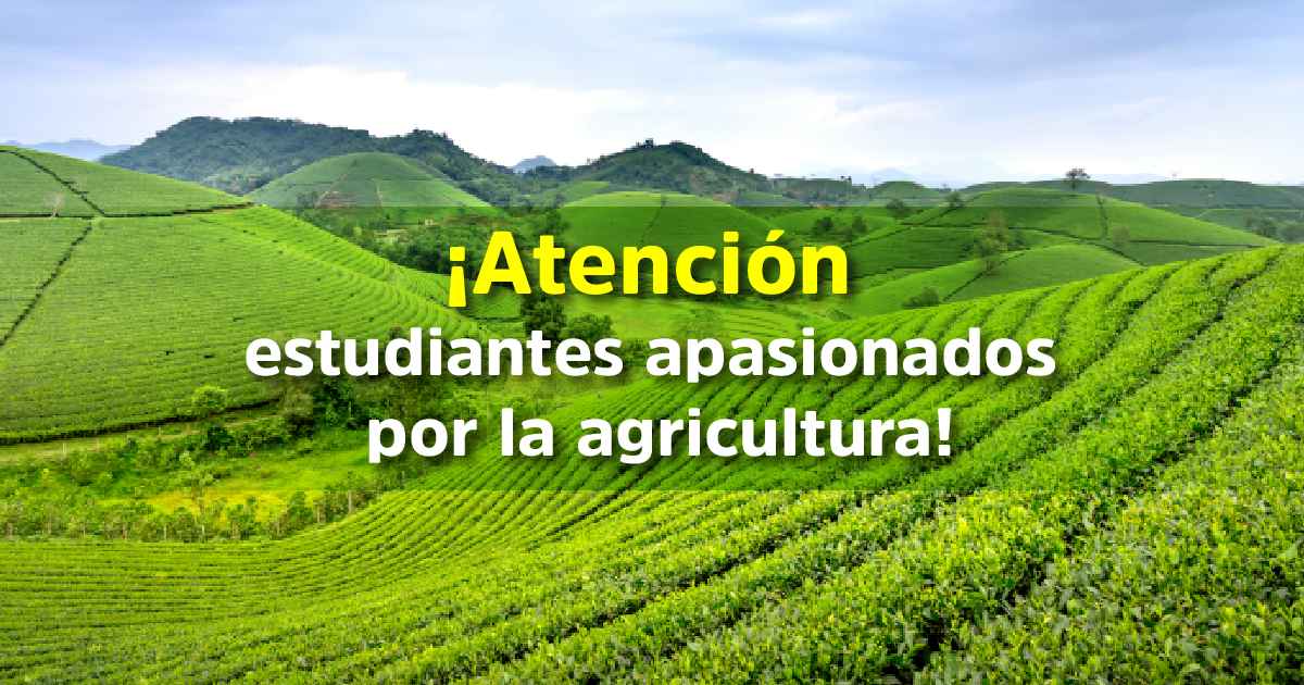 Inscríbete en el Diplomado de Extensión Agropecuaria y fortalece tu formación
