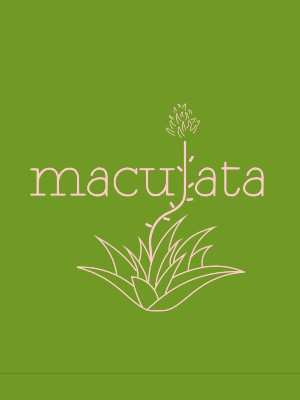 Maculata