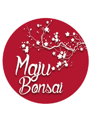 Maju Bonsai