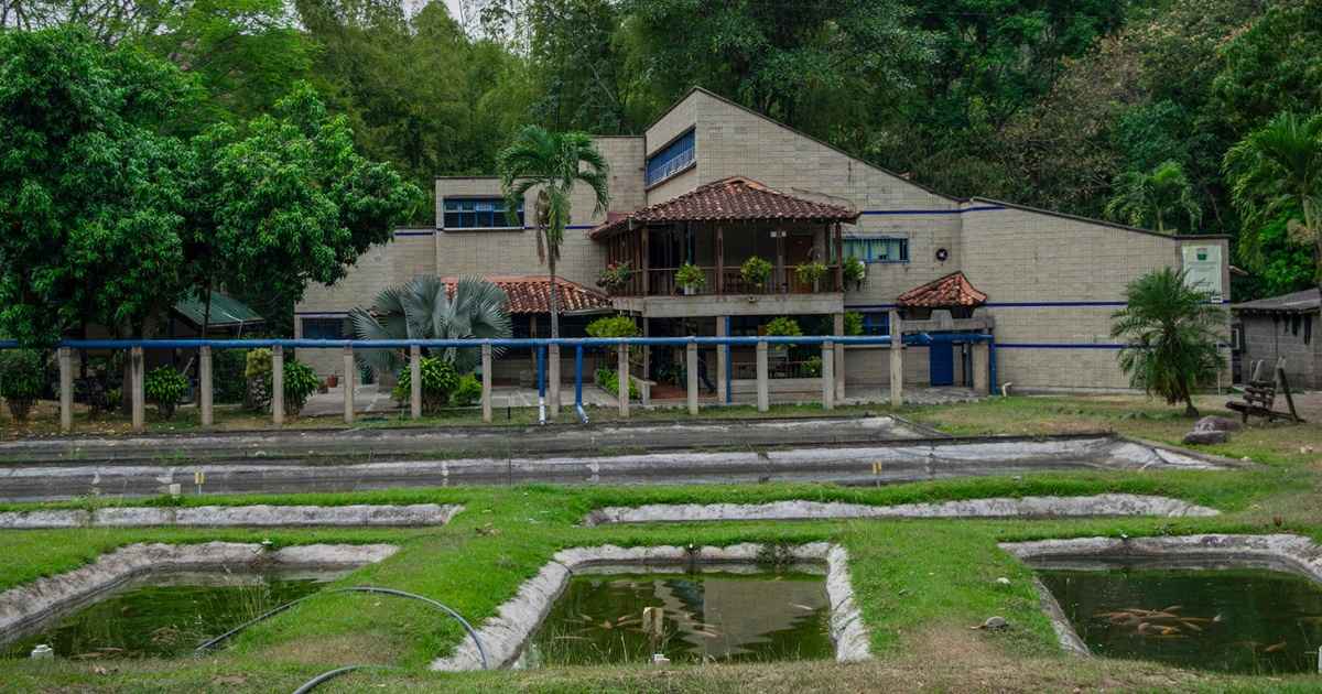 La Granja Jhon Jairo González Torres, recibió certificación como Establecimiento de Acuicultura Bioseguro