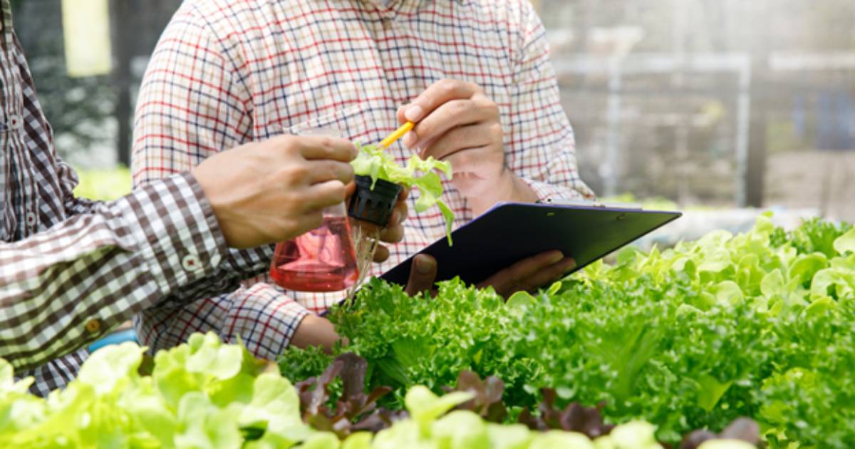 Renovada por 8 años de la Acreditación en Alta Calidad para el Programa de Tecnología Agropecuaria