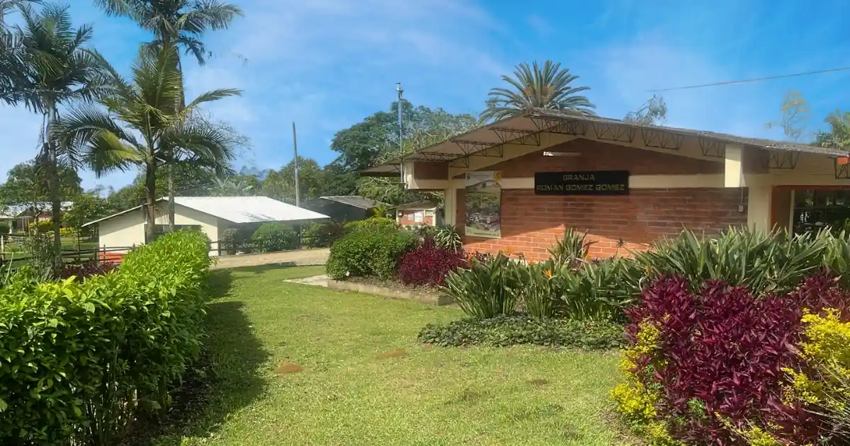 La Granja Román Gómez Gómez: Un Sello de Calidad y Profesionalismo en la Producción Agropecuaria