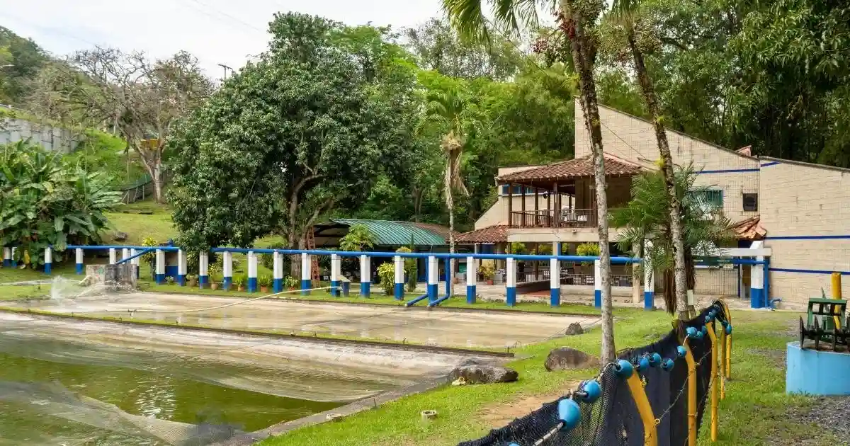 El ICA certificó como Establecimiento de Acuicultura Bioseguro al Centro de Producción y Experimentación Acuícola ubicado en San Jerónimo